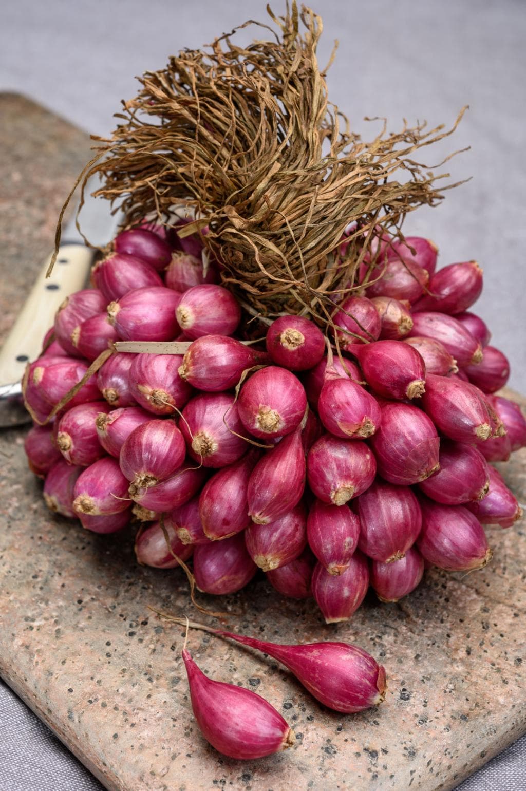 Cherulli